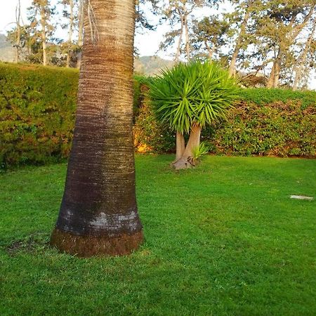 Villa Sotiroulla Kato Yialia Bagian luar foto