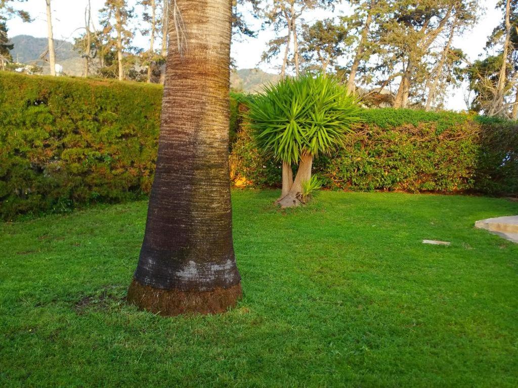 Villa Sotiroulla Kato Yialia Bagian luar foto